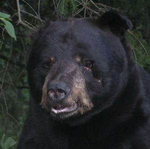 Meet your Posher, Dustin